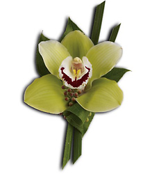 Green Orchid Boutonniere from Parkway Florist in Pittsburgh PA